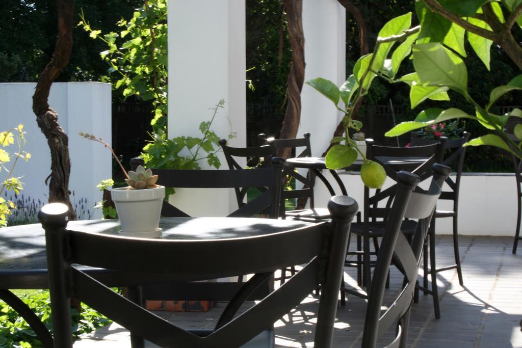 בלומפונטייין Lemon & Lime Guesthouse מראה חיצוני תמונה