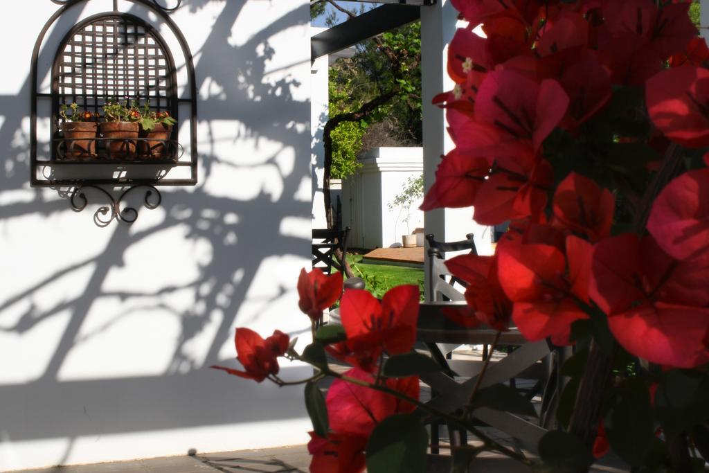 בלומפונטייין Lemon & Lime Guesthouse מראה חיצוני תמונה
