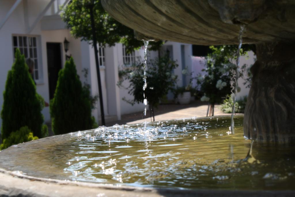 בלומפונטייין Lemon & Lime Guesthouse מראה חיצוני תמונה
